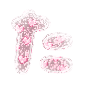 016