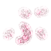073
