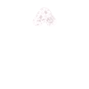 231