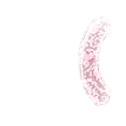 234