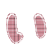 002