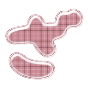 061