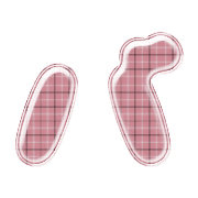 151