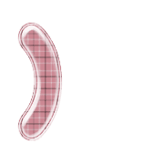 235