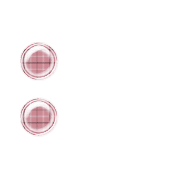 244