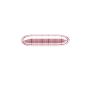 251