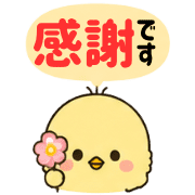 008