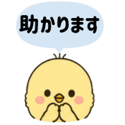 009