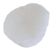 034