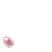 256