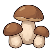 031