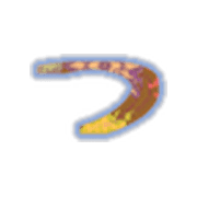 052