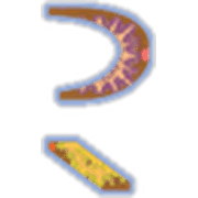 226
