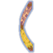 234