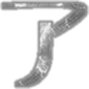 081