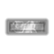 251