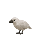 018