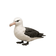 019