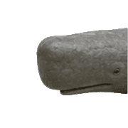 021