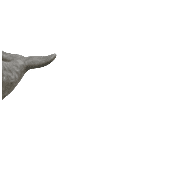 023