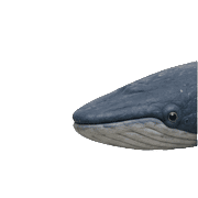 029