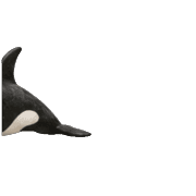 034