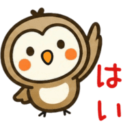 006
