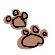 009
