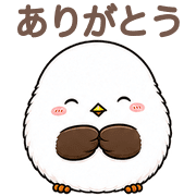 031