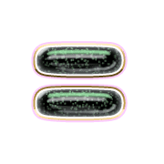 239