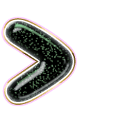 249