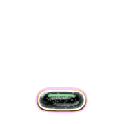 250