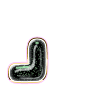 255