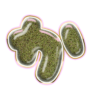 006