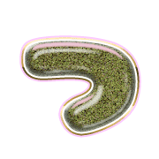 018