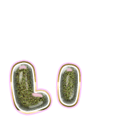 048