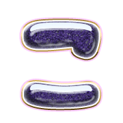 010