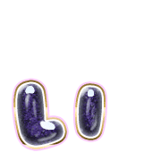 048