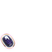 256