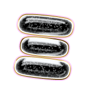112