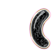 234