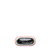 250