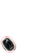 256