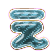 004