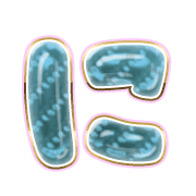 022