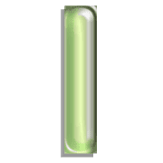 081
