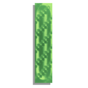 081