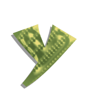 051