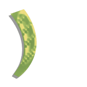 074