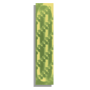 081